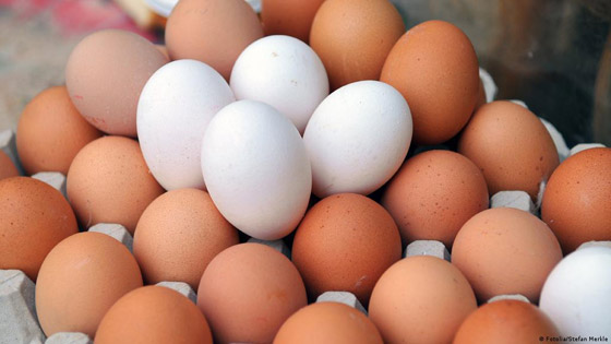 9 أطعمة منخفضة السعرات الحرارية ومعززة للطاقة لإنقاص الوزن صورة رقم 3