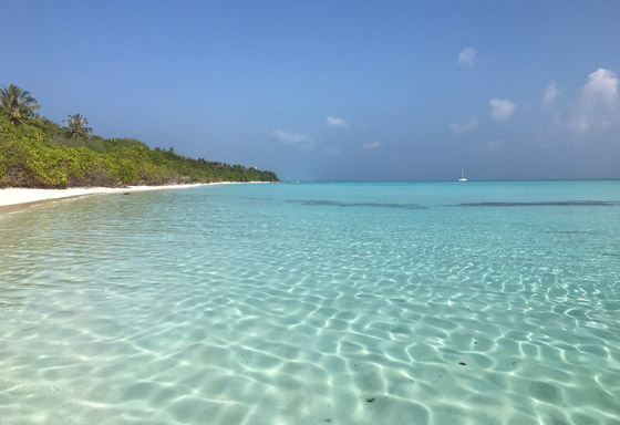 متعة الاسترخاء على شواطئ جزر المالديف خلال شهر العسل.. صور صورة رقم 2