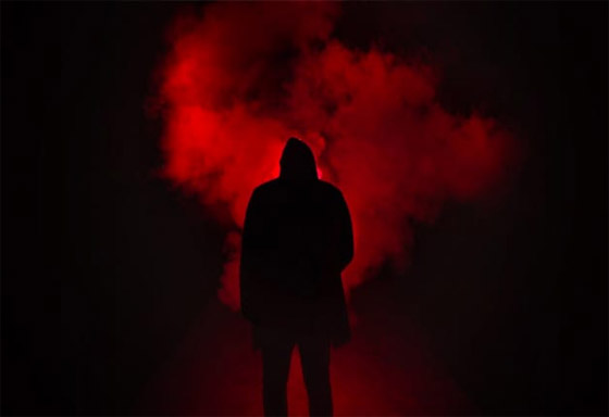 علماء يحددون أكثر الكائنات المفترسة على وجه الأرض.. ومفاجأة غير متوقعة صورة رقم 2