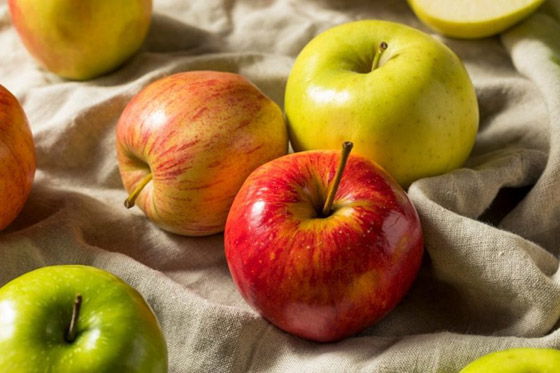 الجزر ليس برتقاليا والموز به بذور.. 10 فواكه وخضراوات من صنع الإنسان عن طريق التهجين صورة رقم 6