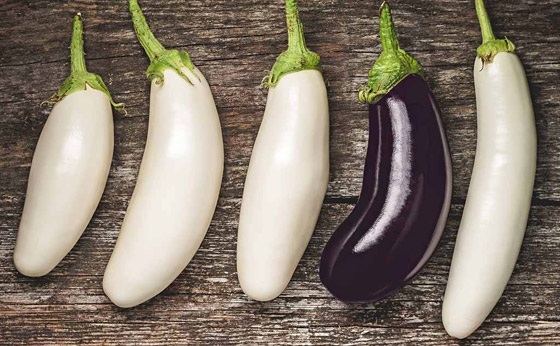 الجزر ليس برتقاليا والموز به بذور.. 10 فواكه وخضراوات من صنع الإنسان عن طريق التهجين صورة رقم 8