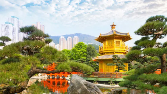 أصعب الجنسيات التي يمكنك الحصول عليها في العالم! صورة رقم 5