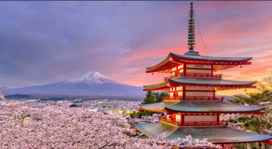 أصعب الجنسيات التي يمكنك الحصول عليها في العالم! صورة رقم 9