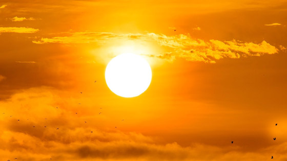 خلال أيام.. خلال أيام..