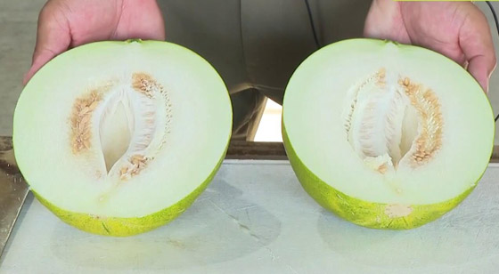 شركة يابانية تطور ثمرة جديدة تدعى 