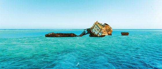 مواقع شهيرة للغوص الترفيهي والاحترافي.. رحلة ممتعة تحت الماء صورة رقم 3