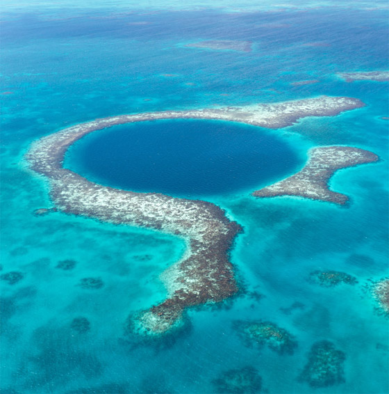 مواقع شهيرة للغوص الترفيهي والاحترافي.. رحلة ممتعة تحت الماء صورة رقم 6