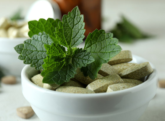 سموم، مواد كيميائية وخناجر! تقنيات مذهلة تدافع بها النباتات عن نفسها صورة رقم 6