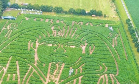 مزارع بريطاني يحول مزرعته إلى لوحة للملك توت عنخ آمون.. صور صورة رقم 4 مزارع بريطاني يحول مزرعته إلى لوحة للملك توت عنخ آمون.. صور صورة رقم 4