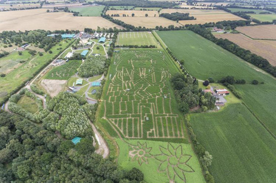 مزارع بريطاني يحول مزرعته إلى لوحة للملك توت عنخ آمون.. صور صورة رقم 5 مزارع بريطاني يحول مزرعته إلى لوحة للملك توت عنخ آمون.. صور صورة رقم 5
