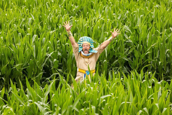 مزارع بريطاني يحول مزرعته إلى لوحة للملك توت عنخ آمون.. صور صورة رقم 7 مزارع بريطاني يحول مزرعته إلى لوحة للملك توت عنخ آمون.. صور صورة رقم 7