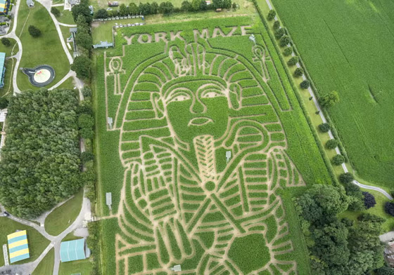 مزارع بريطاني يحول مزرعته إلى لوحة للملك توت عنخ آمون.. صور صورة رقم 1 مزارع بريطاني يحول مزرعته إلى لوحة للملك توت عنخ آمون.. صور صورة رقم 1