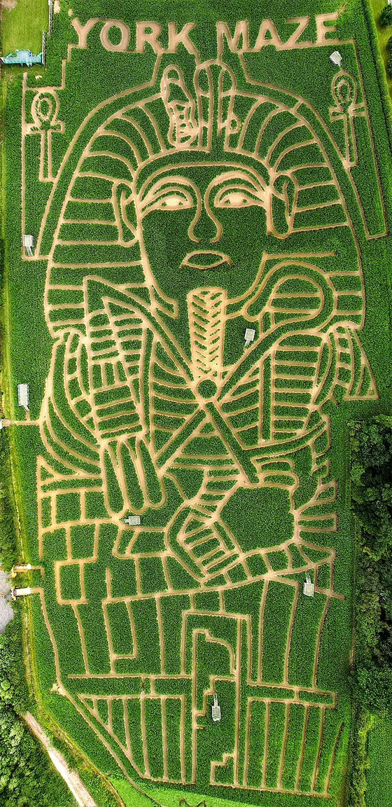 مزارع بريطاني يحول مزرعته إلى لوحة للملك توت عنخ آمون.. صور صورة رقم 3 مزارع بريطاني يحول مزرعته إلى لوحة للملك توت عنخ آمون.. صور صورة رقم 3