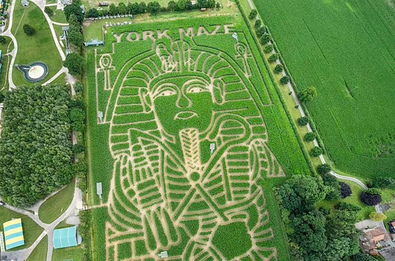 مزارع بريطاني يحول مزرعته إلى لوحة للملك توت عنخ آمون.. صور صورة رقم 8 مزارع بريطاني يحول مزرعته إلى لوحة للملك توت عنخ آمون.. صور صورة رقم 8