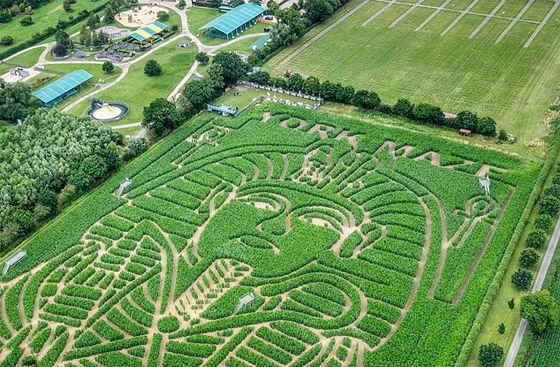 مزارع بريطاني يحول مزرعته إلى لوحة للملك توت عنخ آمون.. صور صورة رقم 9 مزارع بريطاني يحول مزرعته إلى لوحة للملك توت عنخ آمون.. صور صورة رقم 9
