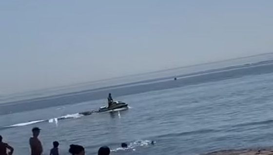 وسط صراخ ورعب.. أسماك قرش زرقاء تفاجئ المصطافين بشاطئ إسباني صورة رقم 8 وسط صراخ ورعب.. أسماك قرش زرقاء تفاجئ المصطافين بشاطئ إسباني صورة رقم 8