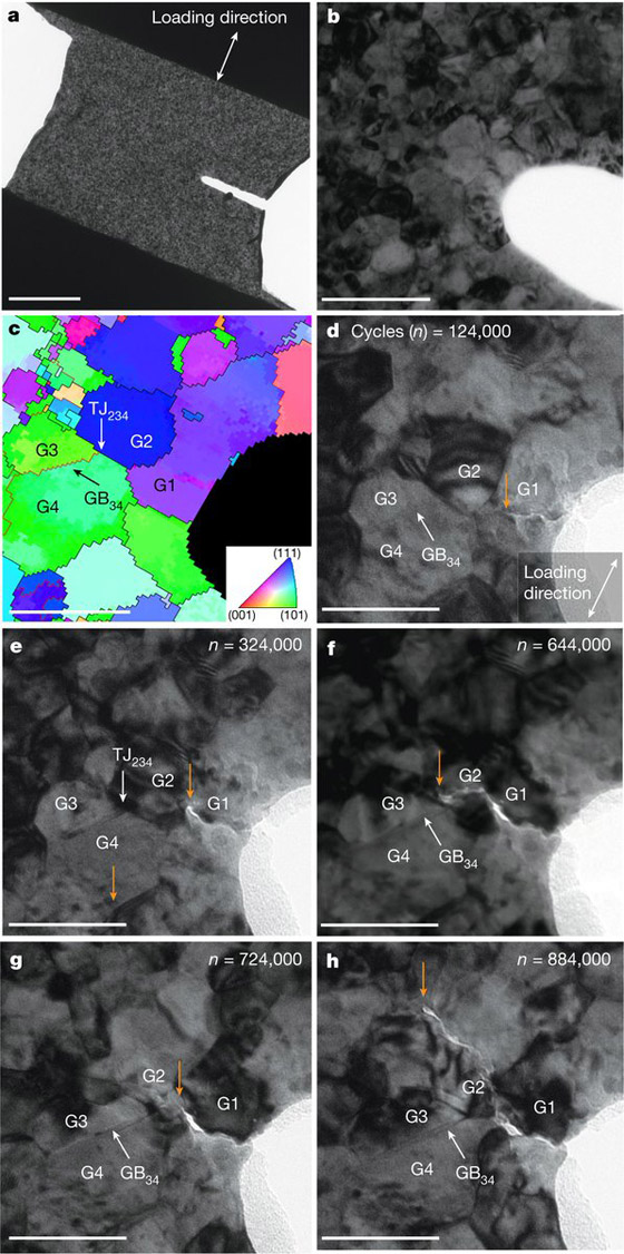 معدن يلتئم مثل جرح بعد تصدعه في مشهد لا مثيل له أذهل العلماء صورة رقم 1