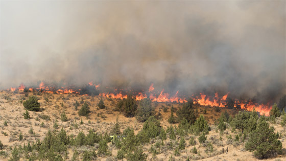 إيطاليا تعلن الطوارئ بسبب الطقس: وفاة 22 ألف شخص وخسارة 100 مليار يورو! صورة رقم 5 إيطاليا تعلن الطوارئ بسبب الطقس: وفاة 22 ألف شخص وخسارة 100 مليار يورو! صورة رقم 5