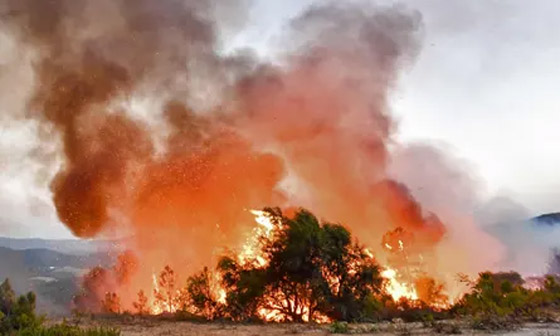 إيطاليا تعلن الطوارئ بسبب الطقس: وفاة 22 ألف شخص وخسارة 100 مليار يورو! صورة رقم 10 إيطاليا تعلن الطوارئ بسبب الطقس: وفاة 22 ألف شخص وخسارة 100 مليار يورو! صورة رقم 10