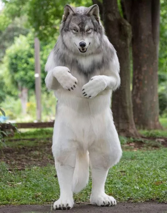 أحدهم أصبح تنينا وآخر كلبا.. أغرب 5 أشخاص حولوا أنفسهم إلى حيوانات صورة رقم 3