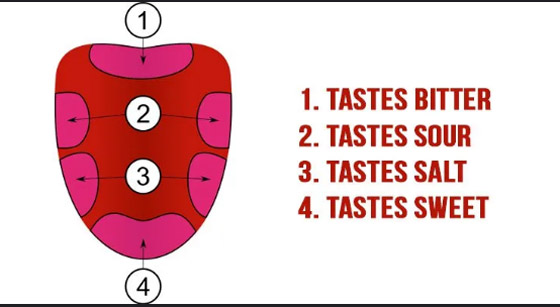 أغرب المعتقدات التي آمن بها العلماء في الماضي! صورة رقم 9