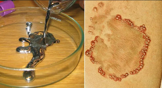 أغرب المعتقدات التي آمن بها العلماء في الماضي! صورة رقم 4