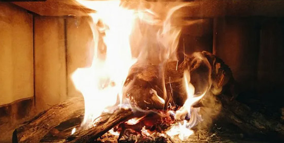 أغرب المعتقدات التي آمن بها العلماء في الماضي! صورة رقم 6