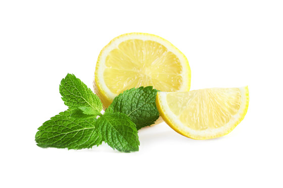 تُغني عن شراء المبيدات.. طرق التخلص من النمل الأسود في البيت صورة رقم 4