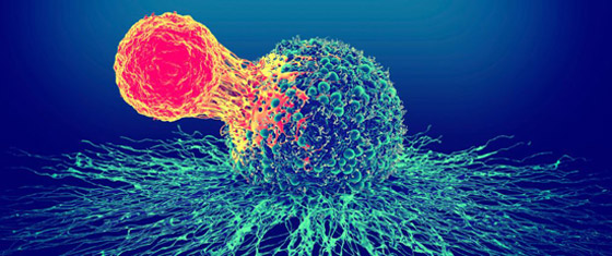 بُشرى لمصابي السرطان.. اكتشاف دواء حي فاعليته تصل إلى 80% صورة رقم 1