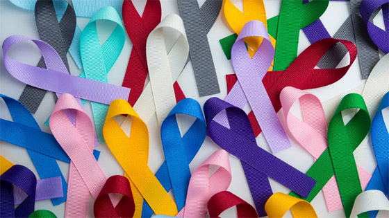 بُشرى لمصابي السرطان.. اكتشاف دواء حي فاعليته تصل إلى 80% صورة رقم 6