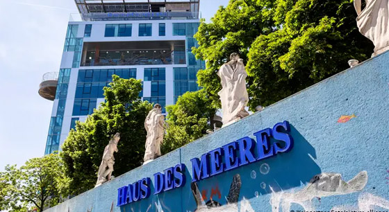 بالصور: كيف تحولت ملاجئ الحرب العالمية إلى مواقع ثقافية صورة رقم 3