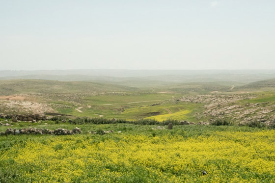 وفاة عائلة استعانت بـ يوتيوب لتعلم العيش في البراري! صورة رقم 3