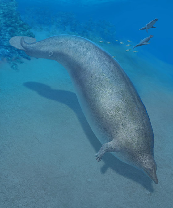 حوت من فجر التاريخ.. العثور على أضخم مخلوق عرفته الأرض! فيديو صورة رقم 13