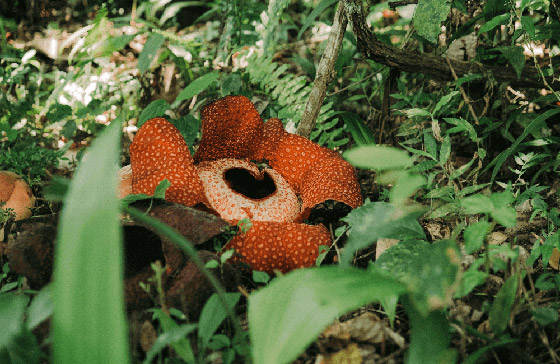 صور: 7 اكتشافات غريبة ظهرت بأماكن غير متوقعة.. سفينة في الصحراء وزجاجة ساحرة صورة رقم 4