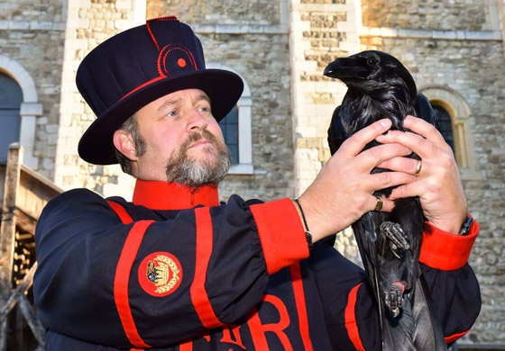 حارس الغربان ومهرج لمواساة المعزين.. إليكم أغرب الوظائف في التاريخ صورة رقم 3