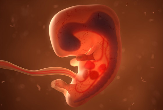 مواطن هندي يكتشف أنه حامل بشقيقه التوأم منذ 36 عاما بحالة طبية نادرة صورة رقم 4 مواطن هندي يكتشف أنه حامل بشقيقه التوأم منذ 36 عاما بحالة طبية نادرة صورة رقم 4