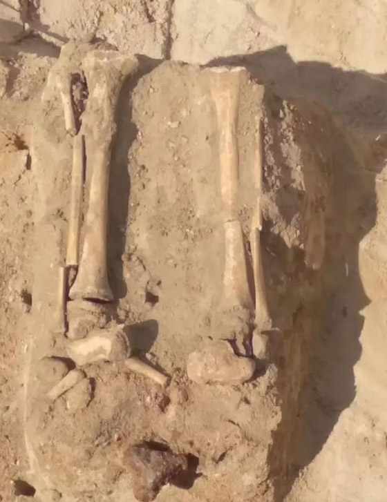 اكتشاف جثة طفل مصاص دماء بأقفال مثبتة على كاحليه صورة رقم 4