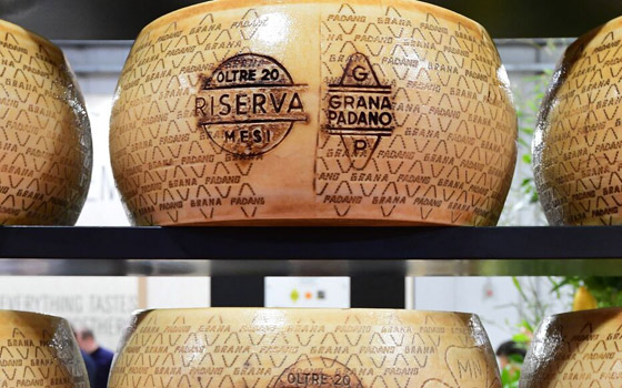 سُحق تحت آلاف القوالب من الجبن.. نهاية مأساوية لمنتِج أجبان إيطالي صورة رقم 4