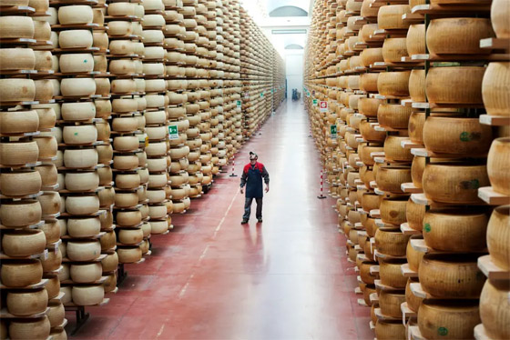 سُحق تحت آلاف القوالب من الجبن.. نهاية مأساوية لمنتِج أجبان إيطالي صورة رقم 5