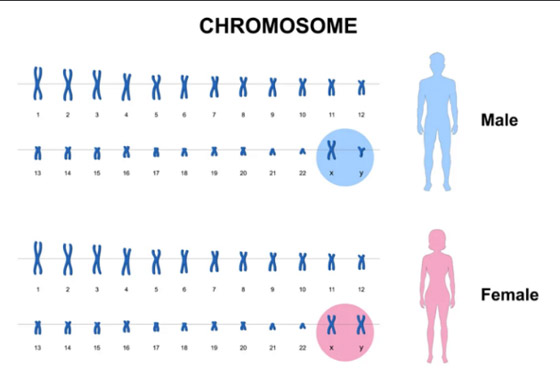 متلازمة سوبر مان حقيقة وليست خيال! ما هي؟ وكيف تحدث؟ صورة رقم 2