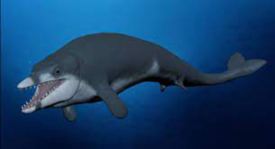 مصر: العثور على بقايا حوت صغير من الثدييات المائية المنقرضة صورة رقم 2