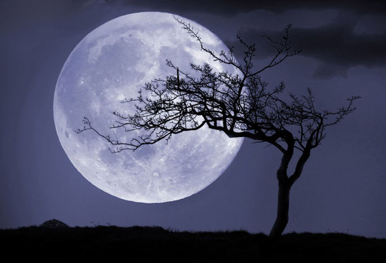 ذهب وثروات نادرة.. صراع بين القوى الكبرى على معادن القمر صورة رقم 1