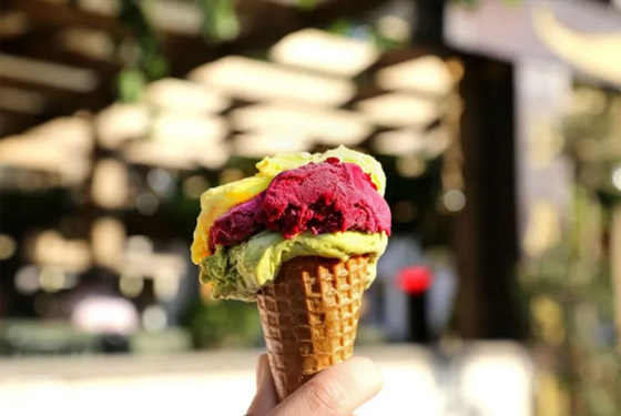 قد تظنهما نفس الشيء! ما الفرق بين الآيس كريم والجيلاتي؟ صورة رقم 3