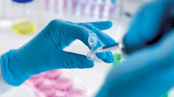 9 خطط سخيفة تبناها أغنياء العالم وحاولوا تنفيذها! صورة رقم 8