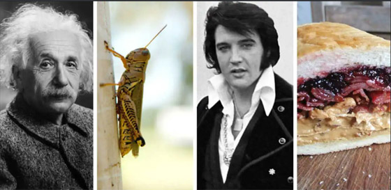 أغرب العادات الغذائية التي تبنتها شخصيات تاريخية معروفة! صورة رقم 1