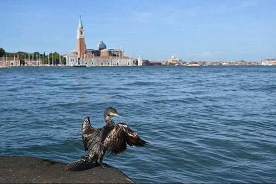 تعرف على أكثر 5 مناطق إثارة للرعب في العالم صورة رقم 3