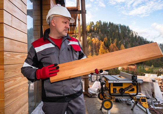 يُمنع إطعام الحمام في البندقية بإيطاليا.. إليكم أغرب 10 قوانين حول العالم صورة رقم 5