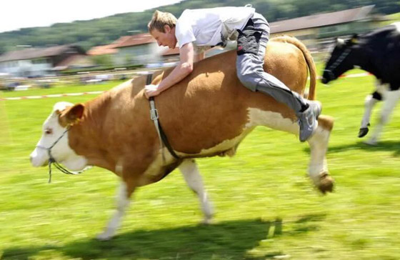 يُمنع إطعام الحمام في البندقية بإيطاليا.. إليكم أغرب 10 قوانين حول العالم صورة رقم 7