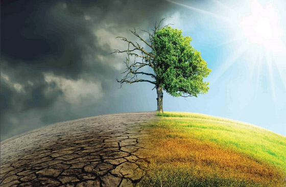 9 بلدان هي الأكثر تضررًا من تغير المناخ صورة رقم 10