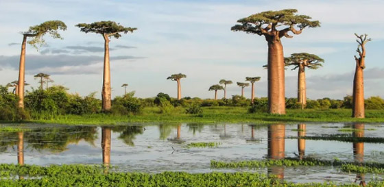 9 بلدان هي الأكثر تضررًا من تغير المناخ صورة رقم 2